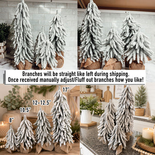 Snow Trees