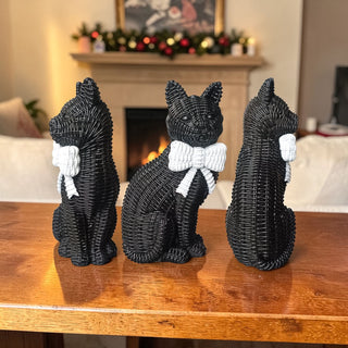 Black Cat