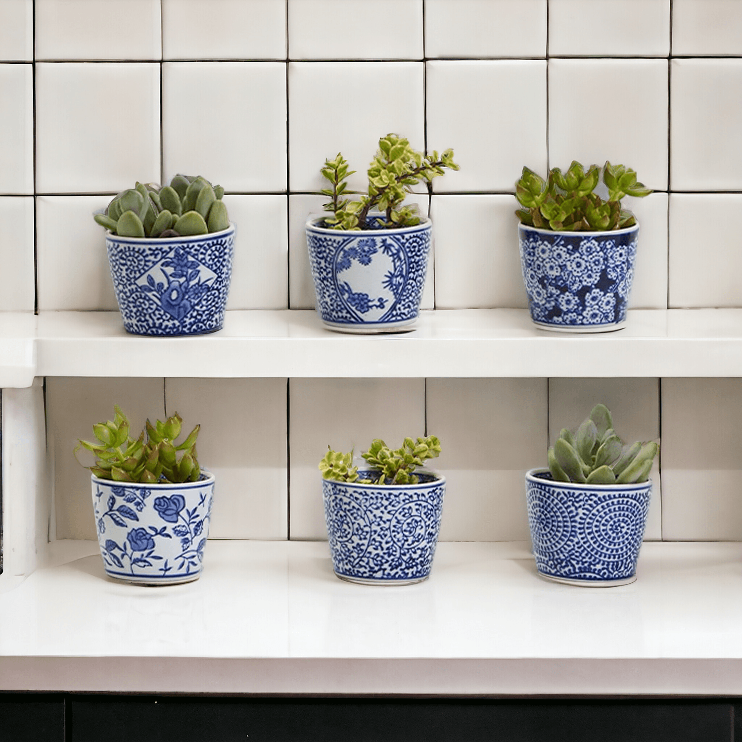 blue and white pots for indoor plants Cachepots Blue and White, Hand Painted Cachepot Planter Chinoiserie Style 6pk: 1 of each