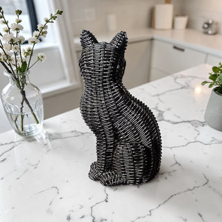 Black Cat