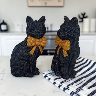 Black Cat
