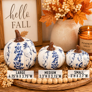 Blue & White Pumpkin