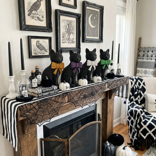Black Cat