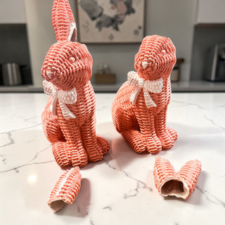 Imperfect Rattan Bunny