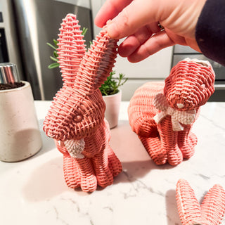 Imperfect Rattan Bunny