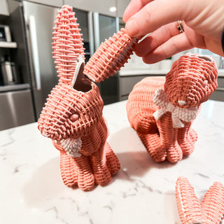 Imperfect Rattan Bunny