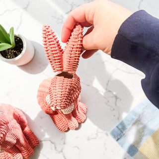 Imperfect Rattan Bunny