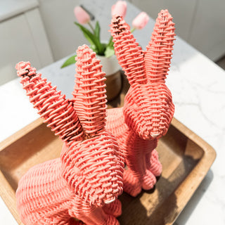 Imperfect Rattan Bunny