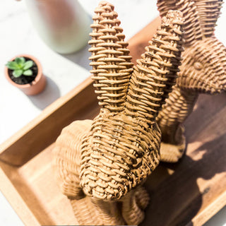 Imperfect Rattan Bunny