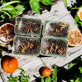artisan soy wax melts with fruit fragrance
large wax melts with fresh citrus fragrance
Country Garden XL fruity citrus wax melts with orange berry apple grape and coconut fragrance in cozy home setting
Country Garden XL soy wax melts with fresh fruity citrus scent displayed beside ceramic wax warmer
