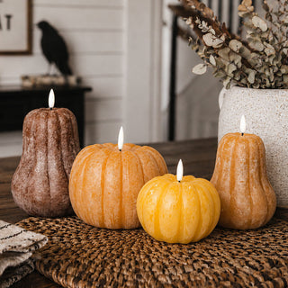 LED Gourds & Pumpkins