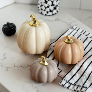 pastel ceramic pumpkin set of 3 fall home decor
neutral ceramic pumpkins with gold stems autumn decor
modern fall pumpkin decor set neutral tones
ceramic pumpkin decor set for fall home styling
small medium large ceramic pumpkins gold stem decor
neutral fall pumpkins ceramic home decor set