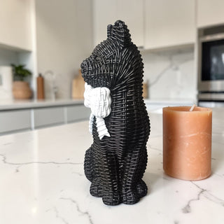 Black Cat