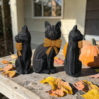 Black Cat