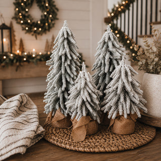 Snow Trees PRE-ORDER