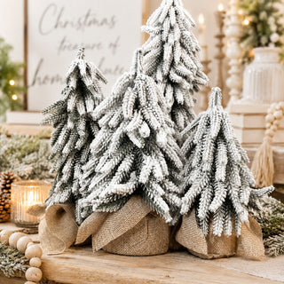 Snow Trees