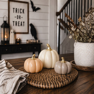 Pastel Pumpkins PRE-ORDER
