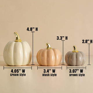 fall decorating pumpkins reusable ceramic set
modern fall decor pumpkins home styling
autumn decor pumpkin set elegant home
fall decor gift pumpkin set for home
autumn housewarming gift neutral pumpkin decor
gift idea fall home decor ceramic pumpkins
thanksgiving decor gift pumpkin set neutral tones