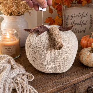 Pumpkin Sample Sale