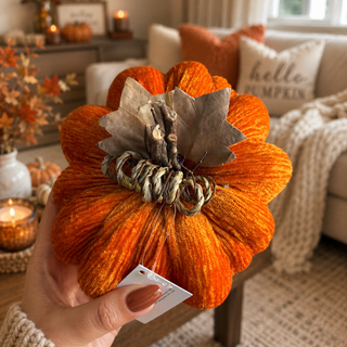 Pumpkin Sample Sale