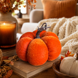 Pumpkin Sample Sale