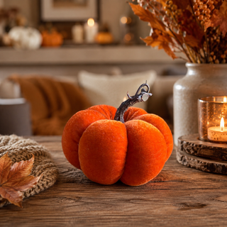 Pumpkin Sample Sale