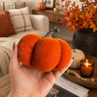 Pumpkin Sample Sale