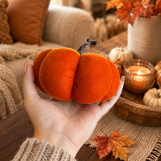 Pumpkin Sample Sale