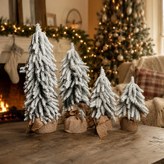 Snow Trees PRE-ORDER