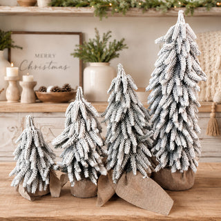 Snow Trees