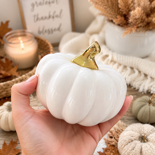 elegant fall home decor white pumpkins modern aesthetic
white ceramic pumpkin decorations for neutral home styling
white pumpkins styled on neutral shelf modern fall decor
minimalist kitchen decor white pumpkin gold accent styling
white pumpkin decor styled in beige aesthetic home
neutral fall decor white pumpkins on coffee table