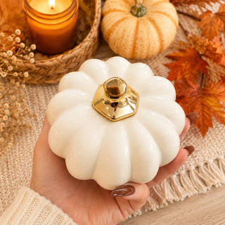 white pumpkin styling ideas for modern home decor
elegant entryway decor white pumpkins fall styling
white pumpkins styled on mantel neutral fall decor
modern living room fall decor white pumpkin accents
white ceramic pumpkins styled in open concept home
neutral decor styling white pumpkins for autumn