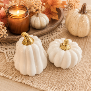 white pumpkins minimalist fall home decor
decorative pumpkins white gold neutral aesthetic
fall pumpkins white ceramic gold accent
white pumpkin set elegant fall home styling
modern pumpkin decor white gold home
neutral pumpkins white fall decor styling
white gold pumpkins home decor autumn