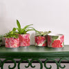 Rose Vases, Floral Cachepots, Watercolor Vases