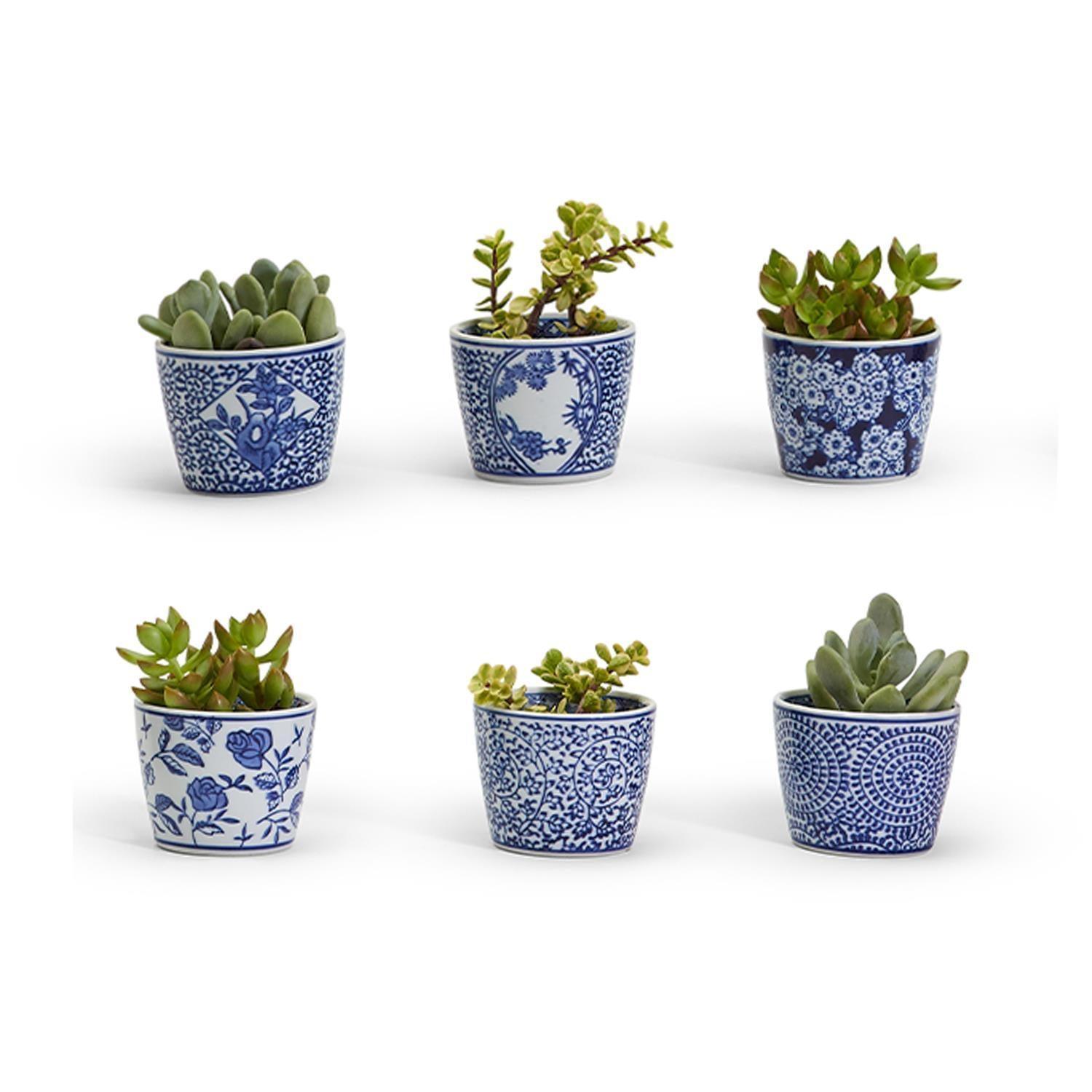 chinoiserie planter pot Cachepots Blue and White, Hand Painted Cachepot Planter Chinoiserie Style 6pk: 1 of each