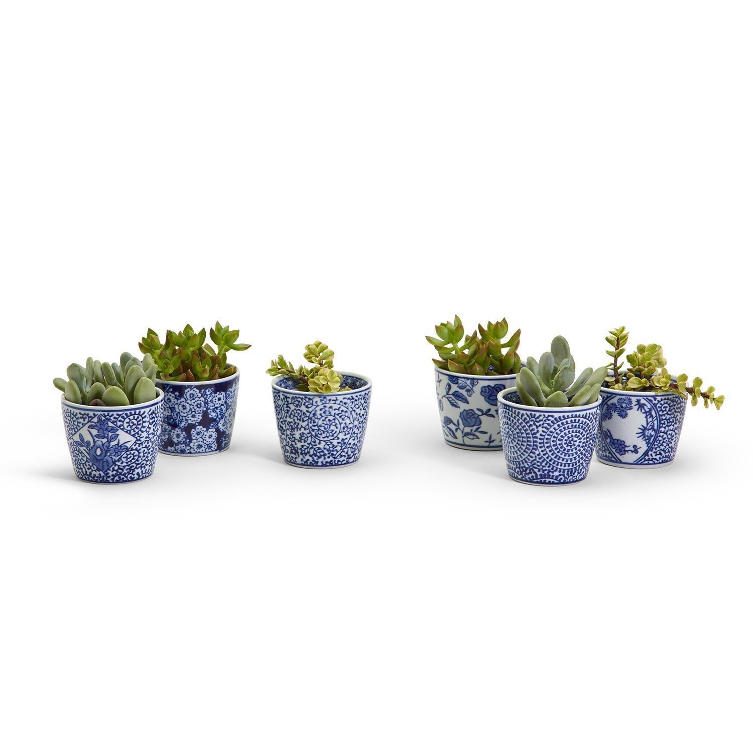 plant cache pot Cachepots Blue and White, Hand Painted Cachepot Planter Chinoiserie Style 6pk: 1 of each