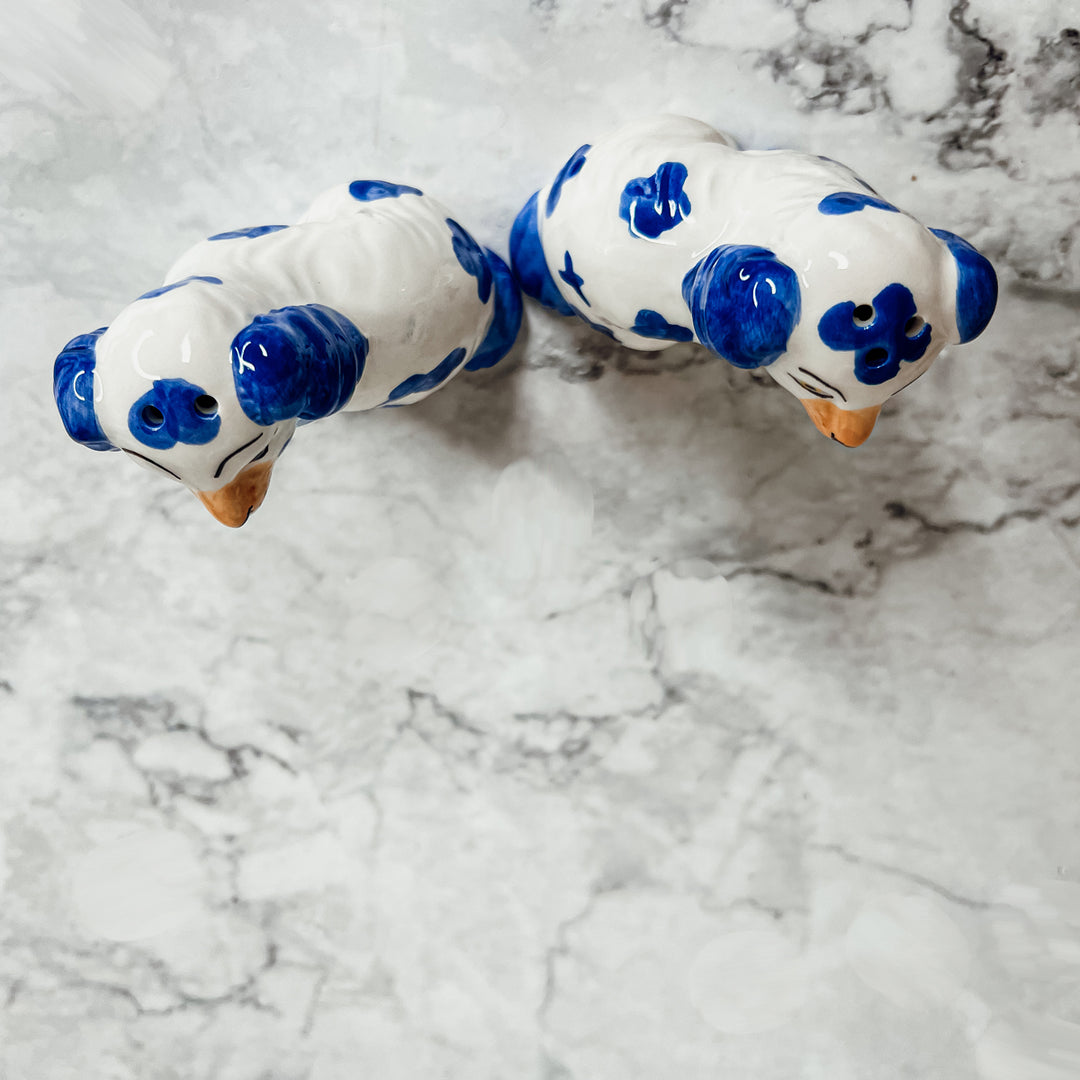 Blue and White Salt & Pepper Shaker Set Cute