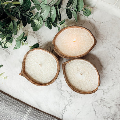 Coconut Shell Candle For OUtside Use
