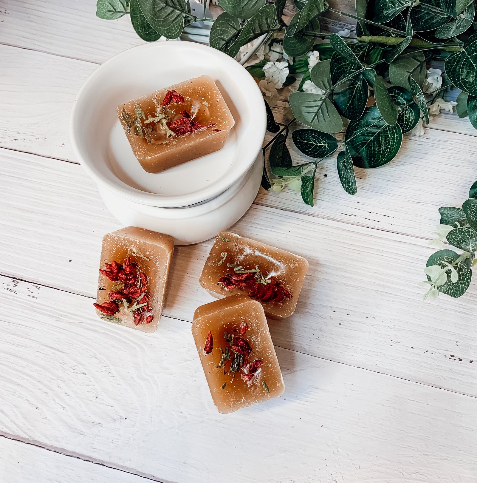 Cinnamon Clove Wax Melts XL & Toxin Free - Real Fresh Ingredients – Gia Roma