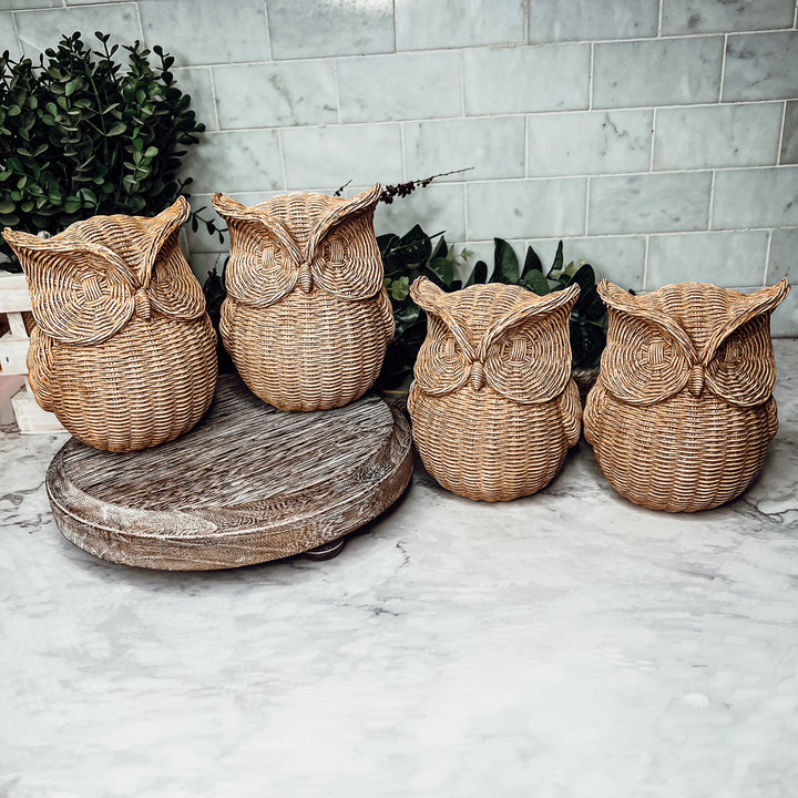 Owl Gift Ideas Unique