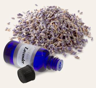 Lavender Essential Oil Add On - Gia Roma